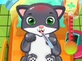 Jwèt Cat Doctor
