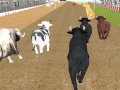 Jwèt Angry Bull Racing