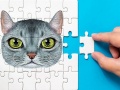 Jwèt Abyssinian Puzzle Challenge