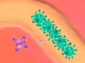 Jwèt Immunity Defense