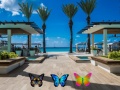 Jwèt Find 100 butterflies