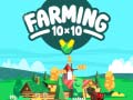 Jwèt Farming 10x10 