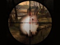 Jwèt Classical Rabbit Sniper Hunting 2019