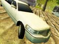 Jwèt Limousine Driver