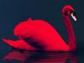 Jwèt Love Birds Puzzle