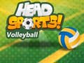 Jwèt Head Sports Volleyball