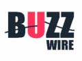 Jwèt Buzz Wire