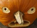 Jwèt 5 in 1 Picture Puzzle: Halloween