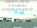 Jwèt Airplane Flying Expierence