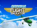 Jwèt Cessna Flight Simulator