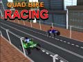 Jwèt Quad Bike Racing