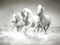 Jwèt Horses Puzzle