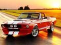 Jwèt Fancy Mustang Differences