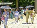 Jwèt 100 Butterflies in Japan