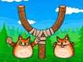 Jwèt Shot The Angry Cat