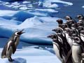 Jwèt Penguins Slide