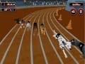 Jwèt Crazyl Dog Racing Fever
