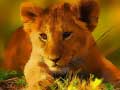 Jwèt Wild Baby Animals Jigsaw