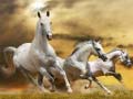 Jwèt Running Horse Slide