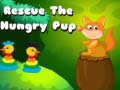 Jwèt Rescue the hungry pup