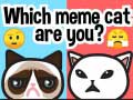 Jwèt Which Meme Cat Are You?