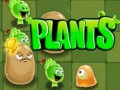 Jwèt Plants
