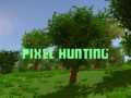 Jwèt Pixel Hunting