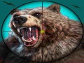 Jwèt Wild Bear Hunting