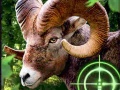Jwèt Crazy Goat Hunter 2020