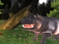 Jwèt Wild Hippopotamus Hunting