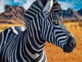 Jwèt Zebra Hunter