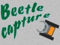 Jwèt Beetle Capture