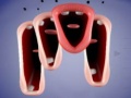 Jwèt Crazy Lips