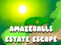 Jwèt Amazeballs Estate Escape
