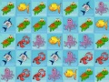 Jwèt Sea World Collection