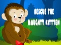 Jwèt Rescue The Naughty Kitten