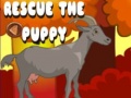 Jwèt Rescue The Puppy