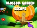 Jwèt Blossom Garden Escape