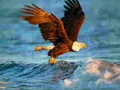Jwèt Animals Jigsaw Puzzle Eagle