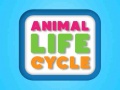 Jwèt Animal Life Cycle