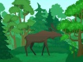 Jwèt Wild Animals Coloring