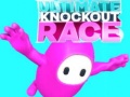 Jwèt Ultimate Knockout Race