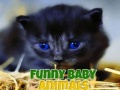 Jwèt Funny Baby Animals