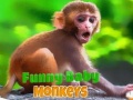 Jwèt Funny Baby Monkey
