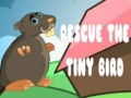 Jwèt Rescue The Tiny Bird