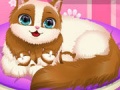 Jwèt Cute Kitty Pregnant
