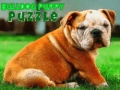 Jwèt Bulldog Puppy Puzzle