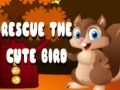 Jwèt Rescue The Cute Bird