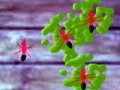 Jwèt Smash Ants