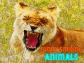 Jwèt Funny Smiling Animals